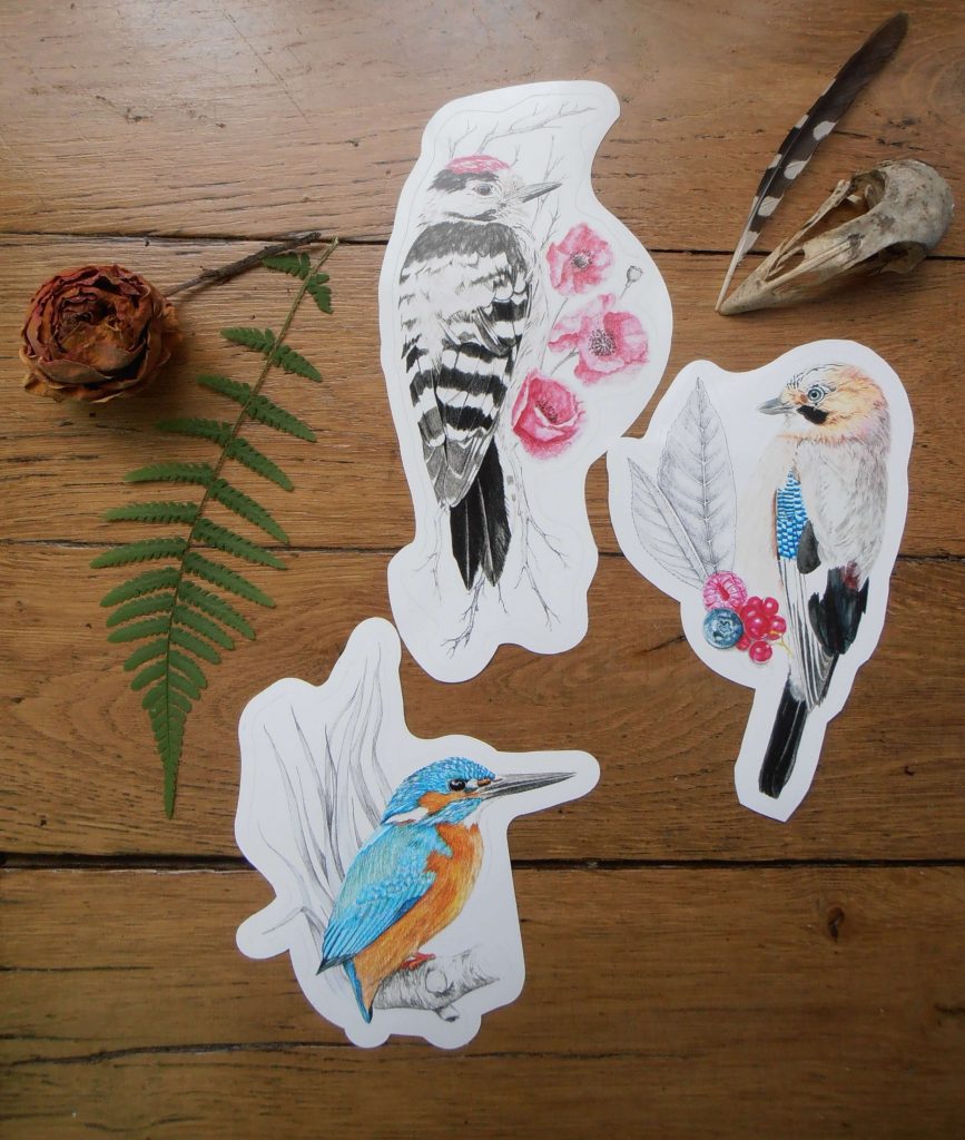 stickers oiseaux