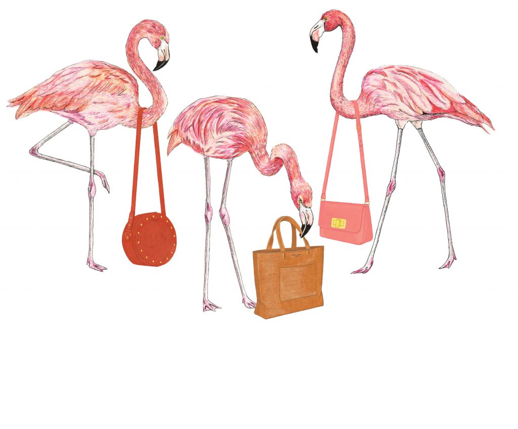 Illustration maroquinerie flamants rose, Olivia Clergue Paris
