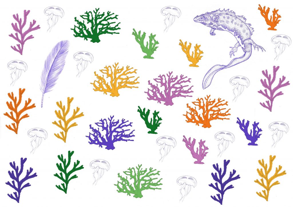 Illustration, en dot art et colorisation numérique. Librement inspirée par La Perruche et la Sirène d'Henri Matisse. Plume et triton crêté