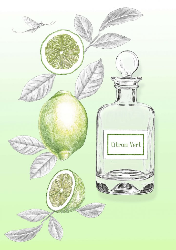 Illustration packaging, publicitaire, beauté, citron vert