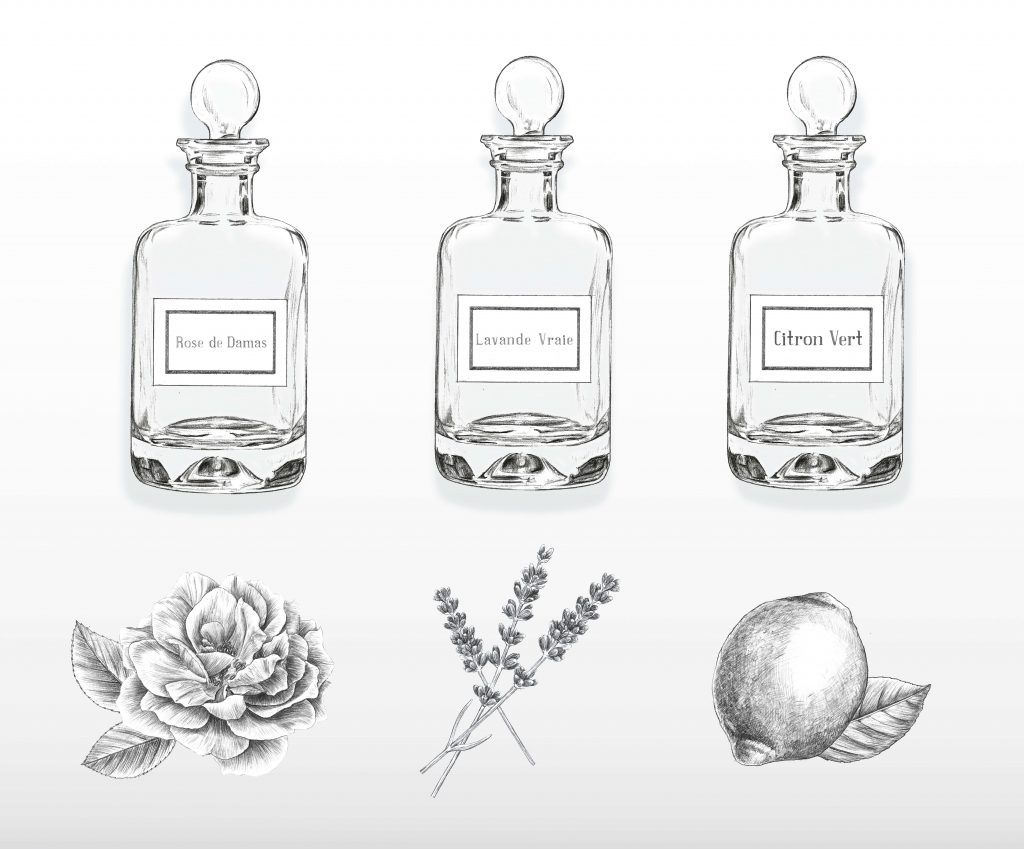 Illustration packaging cosmétique, parfum, huiles essentielle, illustration beauté