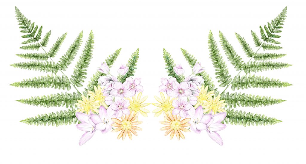 motif fleurs illustration botanique, création de motif floral