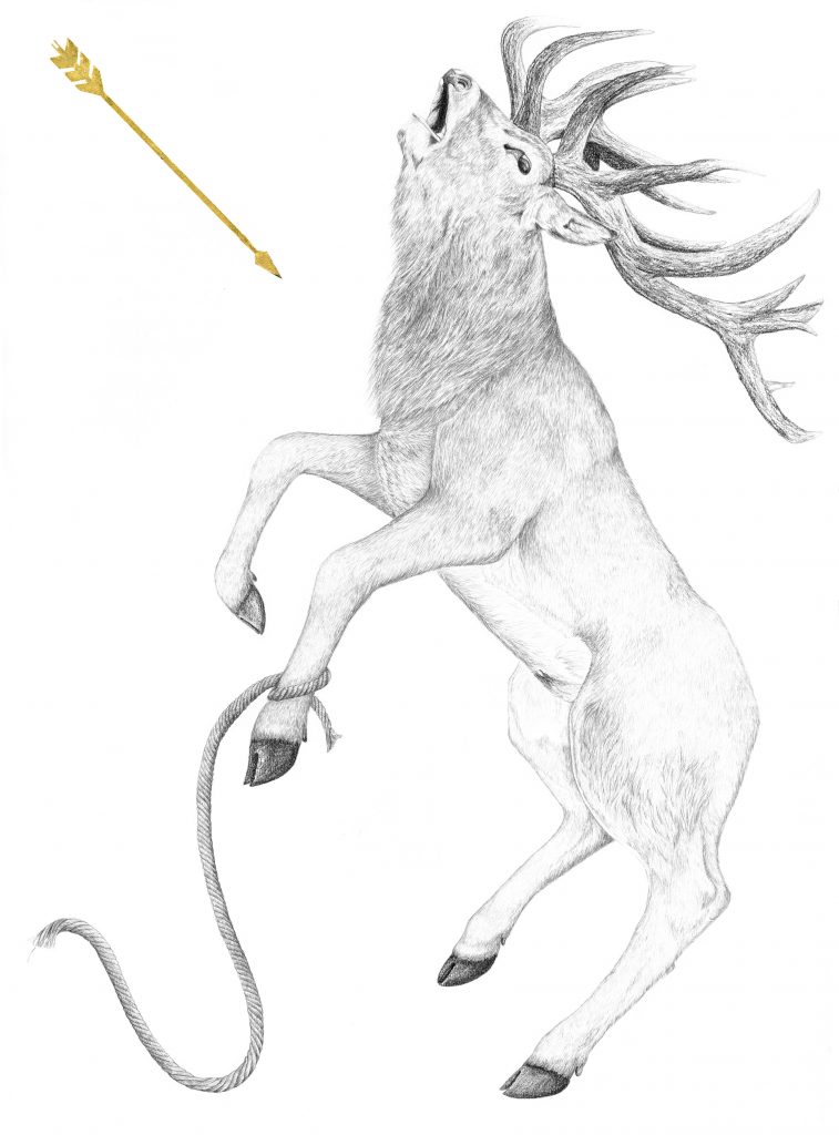 Cyparisse et Apollon, illustration, art animalier, dessin contemporain, mythologie grecque, cerf élaphe