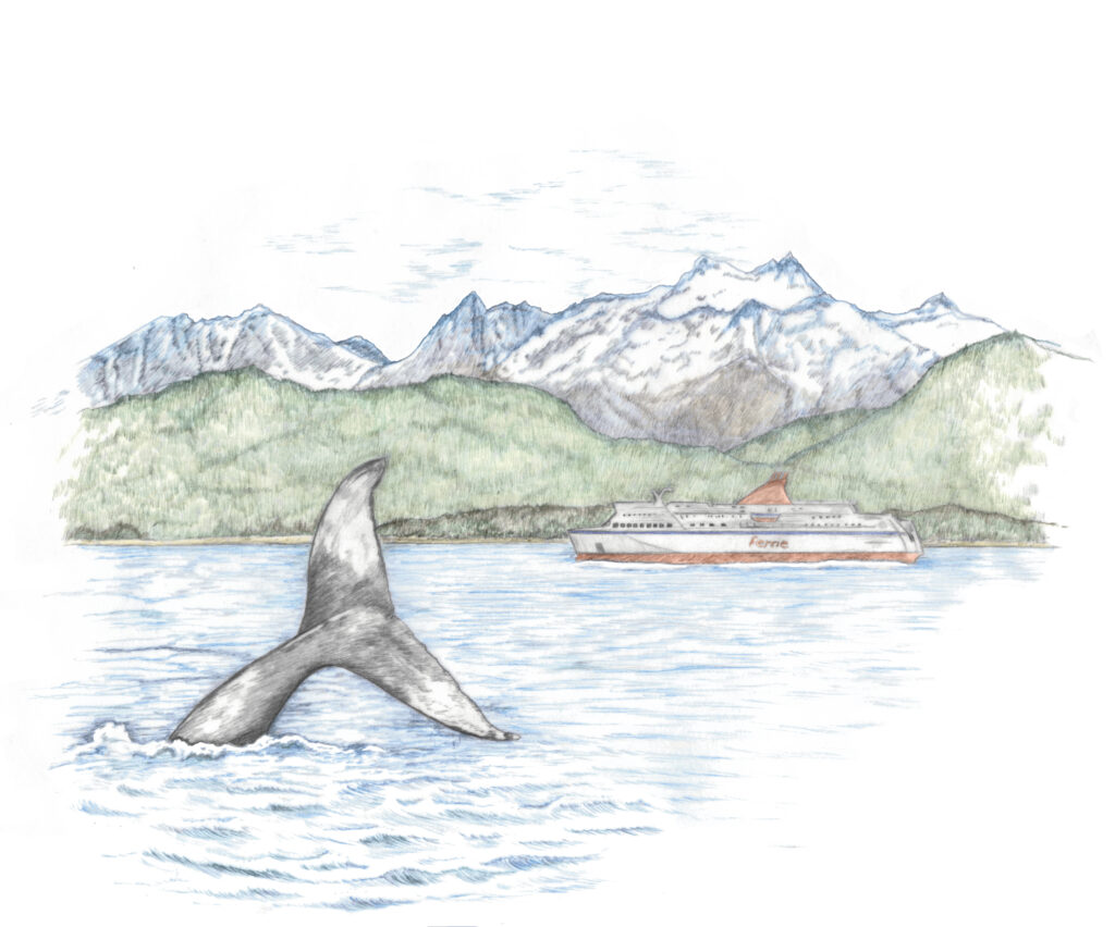 Illustration originale Alicia Pénicaud, illustration paysage, illustration naturaliste, dessin de paysage, illustration milieux, biotope, environnement, illustration fjord, illustrateur naturaliste, revue fondation pour la recherche sur la biodiversité